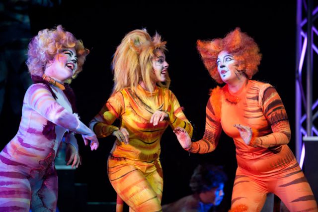Miranda musical society sales