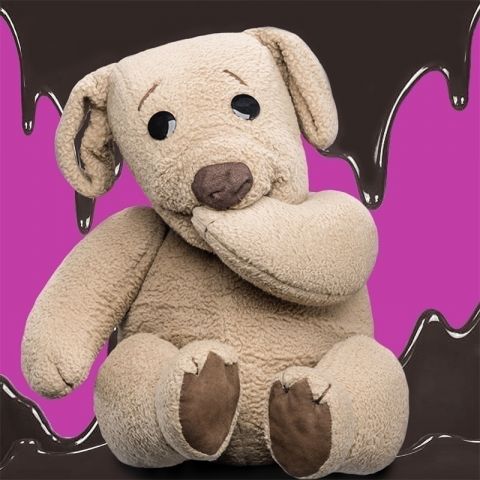 Strassman The Chocolate Diet Stage Whispers