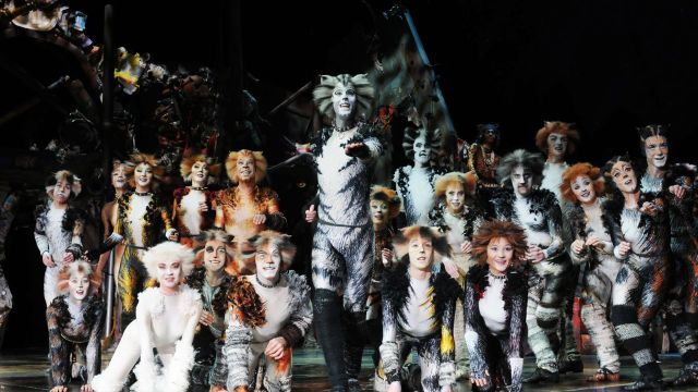 Cats Cast Announced