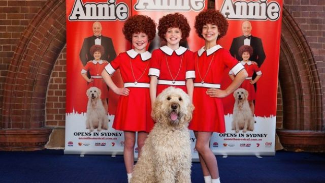 Annie Childrens Cast Announced