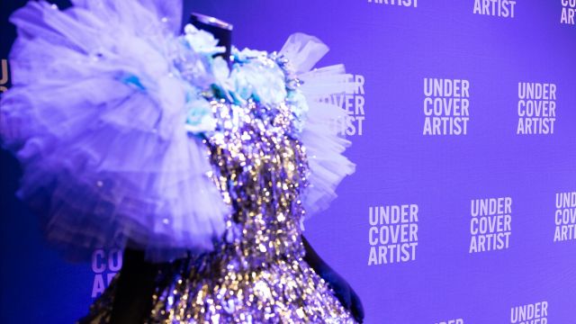 PUSH IT! Undercover Artist Festival 2025 Launch.