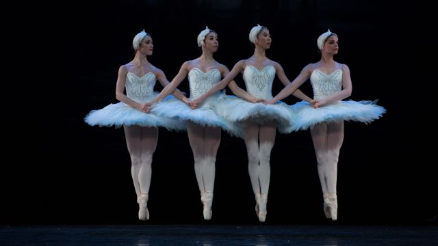 Swan Lake 