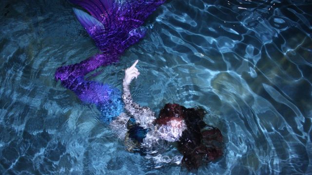 Umami Mermaids 