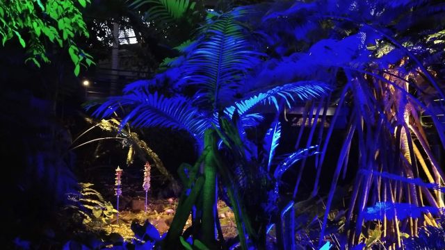 Celestial Gardens: The Secret Sounds of Plants