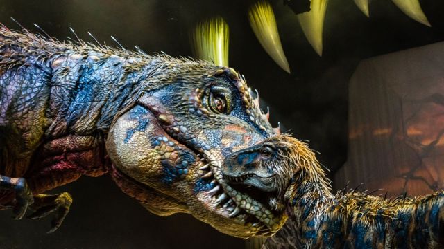 Walking With Dinosaurs The Arena Spectacular 