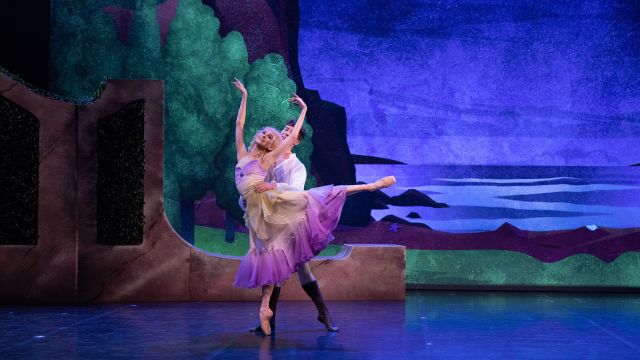 My First Ballet: The Little Mermaid 