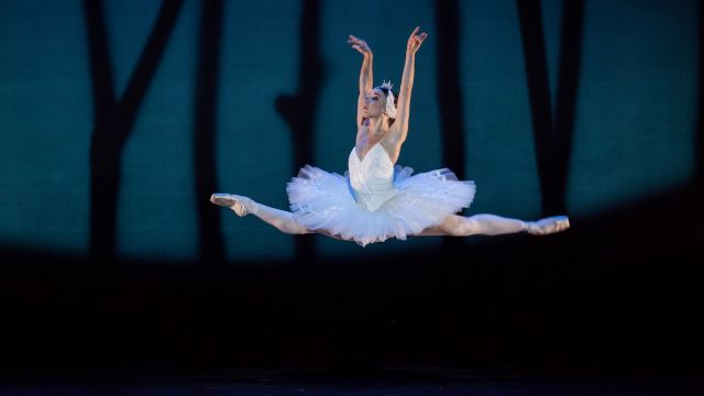 Swan Lake