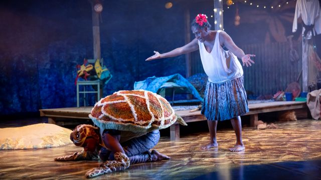 WARU - Journey of the small turtle.