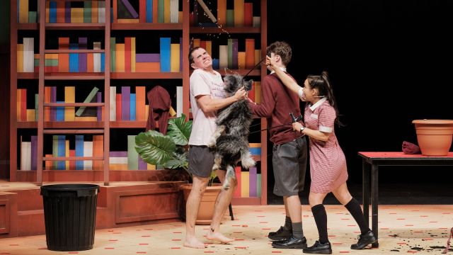 JUST (tricking, annoying, stupid, crazy, disgusting, shocking, doomed) LIVE ON STAGE!
