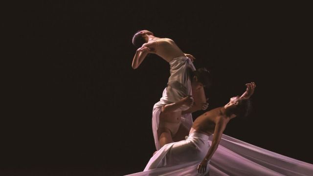 Quand le Corps S’exprime: The Body’s Narrative