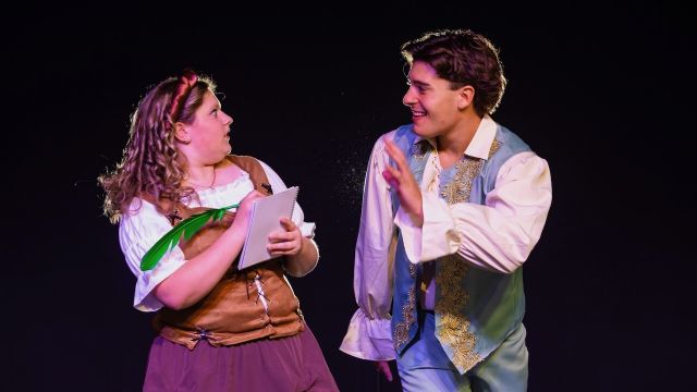 Midnight: The Cinderella Musical