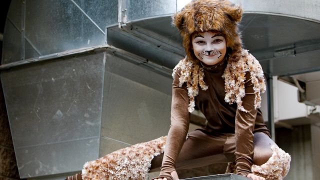 Canberra CATS Set to Prowl in Old Theatre