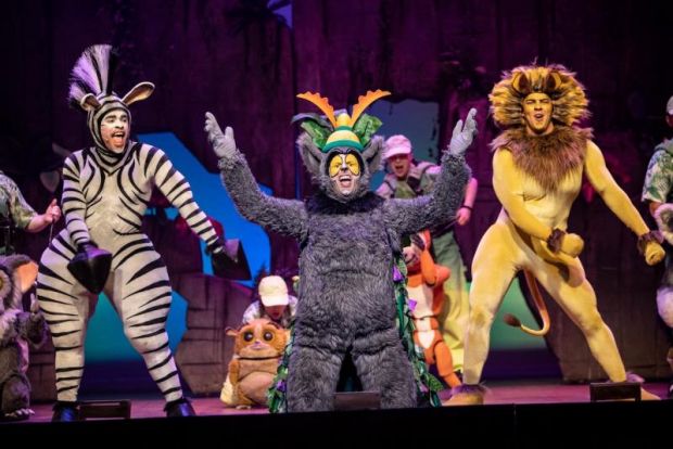 Madagascar the Musical | Stage Whispers